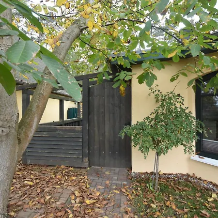 Tatil Evi Modern In On Coastal Forest