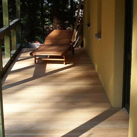 Modern In On Coastal Forest Tessmannsdorf