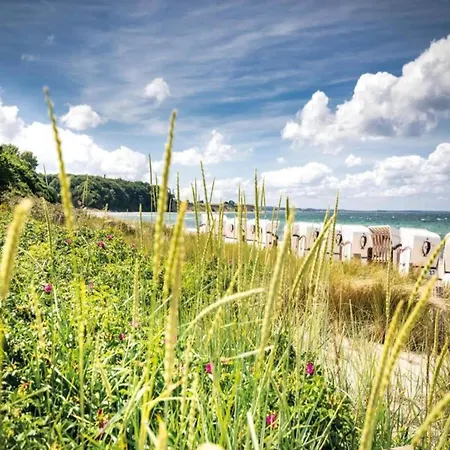 Tatil Evi Modern In On Coastal Forest *