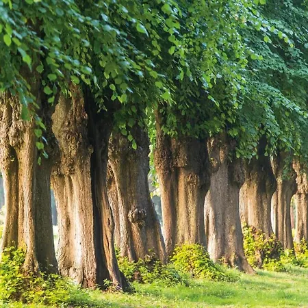 In Nahe Salzhaff Dom wakacyjny