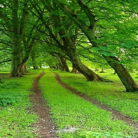 In Nahe Salzhaff Dom wakacyjny