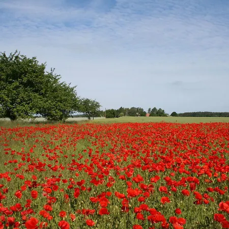 Dom wakacyjny In Nahe Salzhaff
