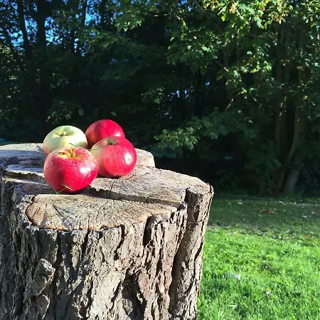 Dom wakacyjny In Nahe Salzhaff *