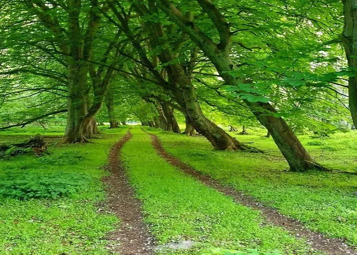In Nahe Salzhaff 別荘