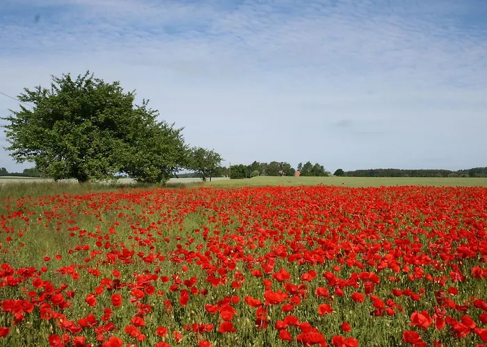 別荘 In Nahe Salzhaff