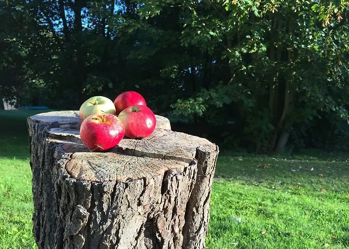 別荘 In Nahe Salzhaff *